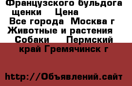 Французского бульдога щенки  › Цена ­ 35 000 - Все города, Москва г. Животные и растения » Собаки   . Пермский край,Гремячинск г.